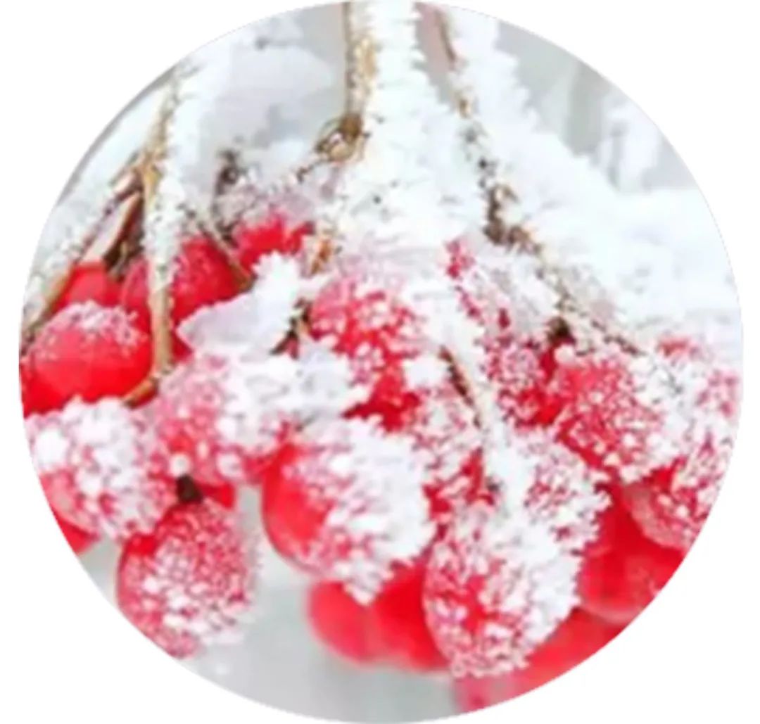 莲花山润生堂