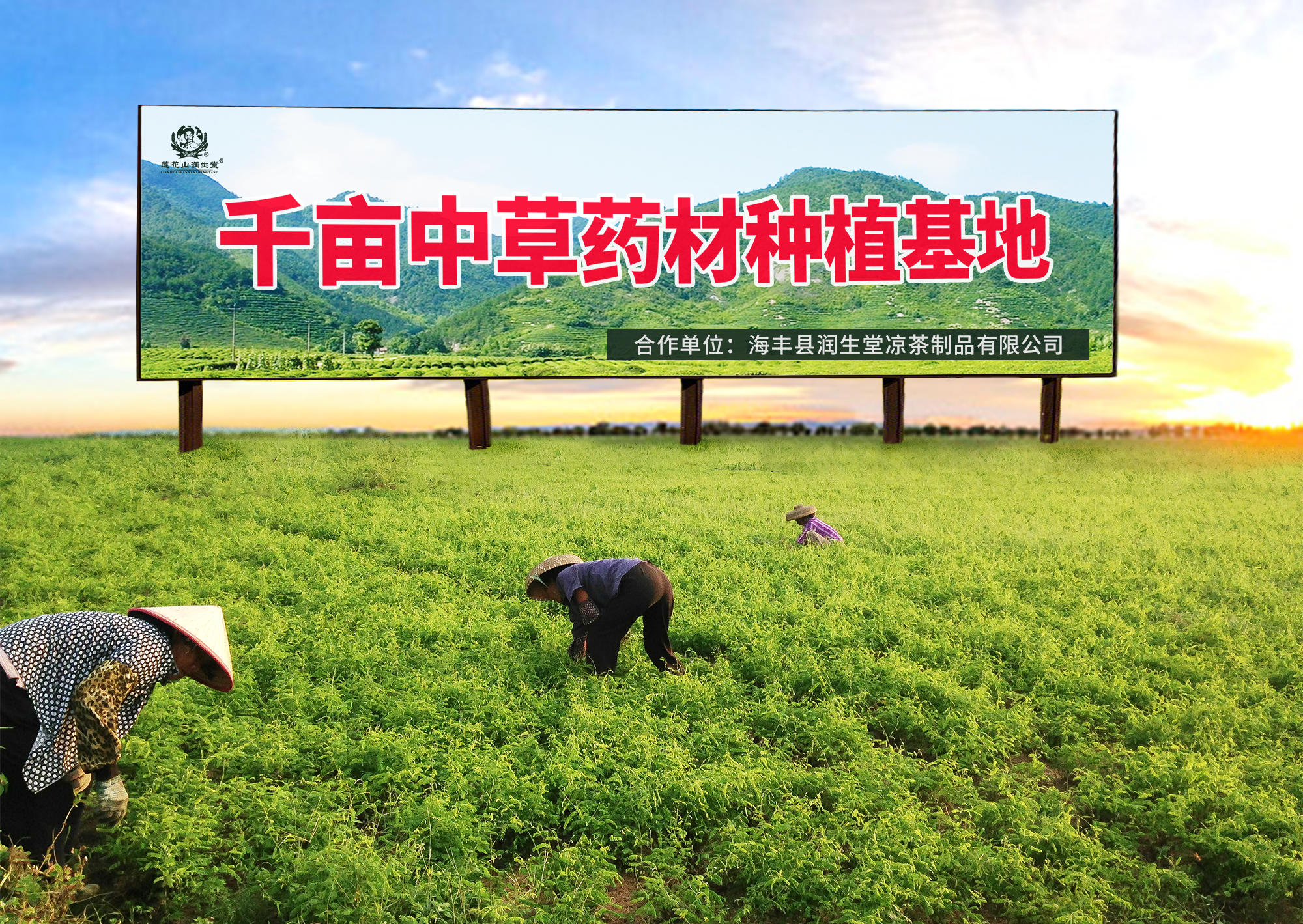 <span>莲花山润生堂原料种植基地</span>