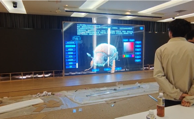 上海海关学院P3.9全息隐形屏