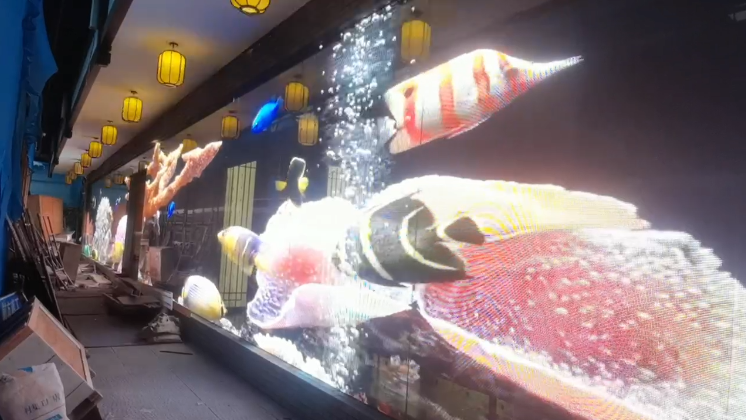 临海市丹霞艺术中心P6全息隐形屏70平方