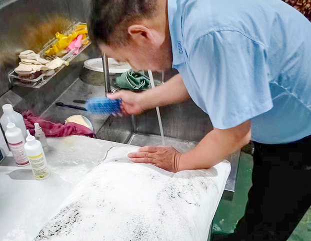 选择高仕捷，开启商用清洁新征程