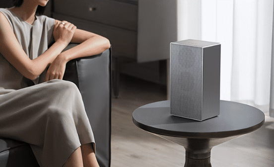 小米夺中国智能音箱第一 份额达48.8%