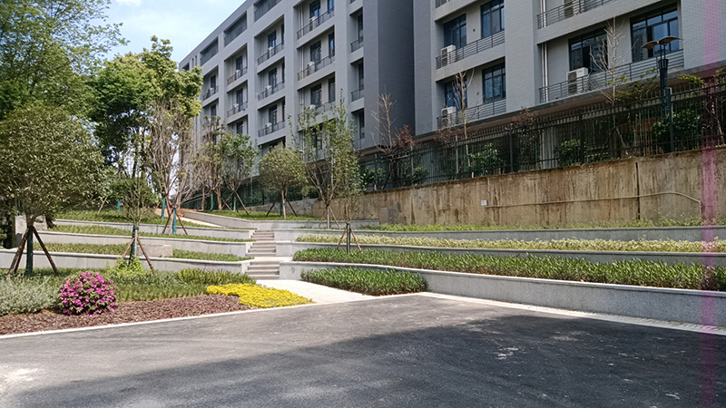 长沙市实验小学