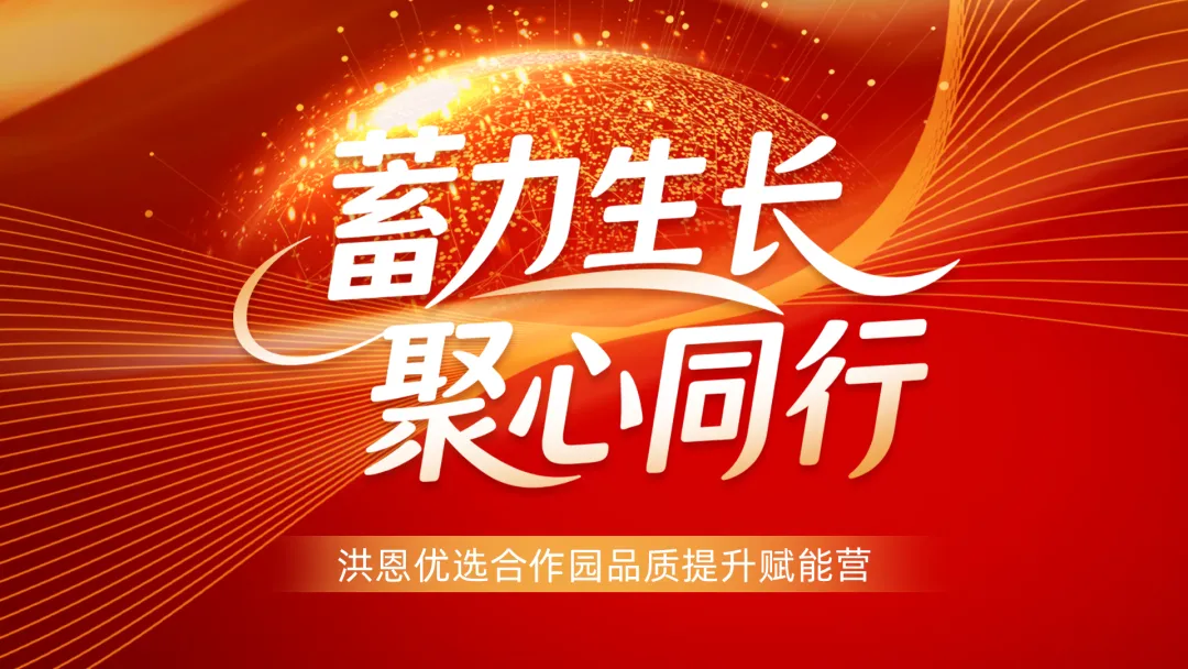 蓄力生长 聚心同行｜洪恩优选合作园贵州区域专项培训圆满落幕！