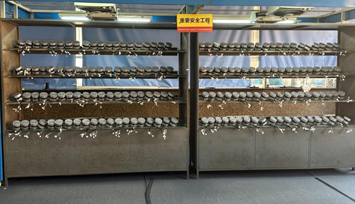 杭州仪表电机有限公司：匠心打造高效能电动搅拌机解决方案