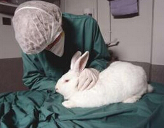 Implantation Tests
