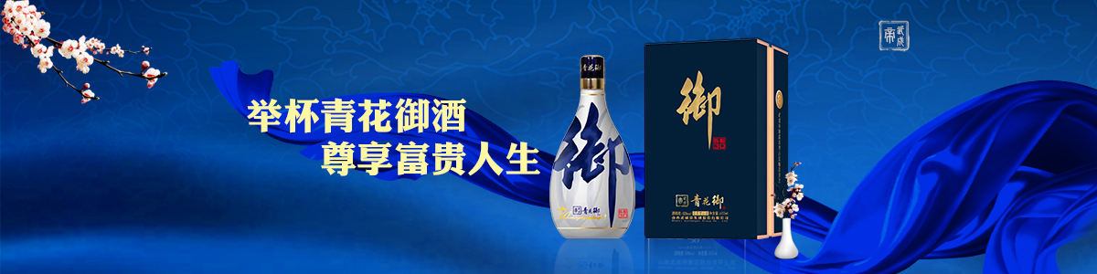 武成帝15清香盛世42度清香型白酒475ml*1盒装