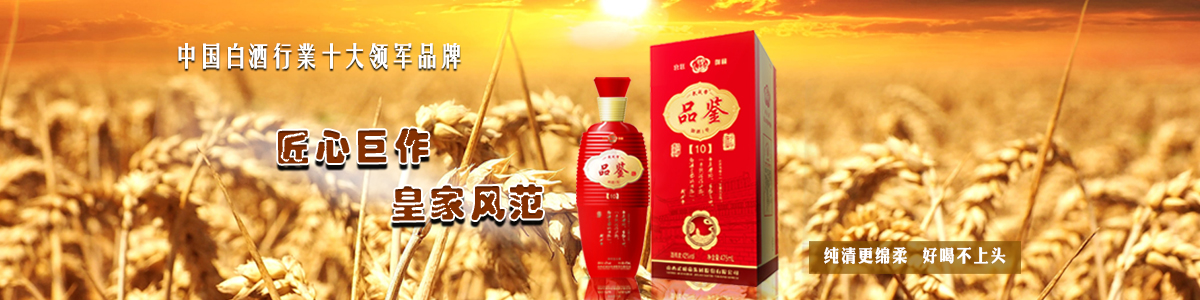 武成帝15清香盛世42度清香型白酒475ml*1盒装