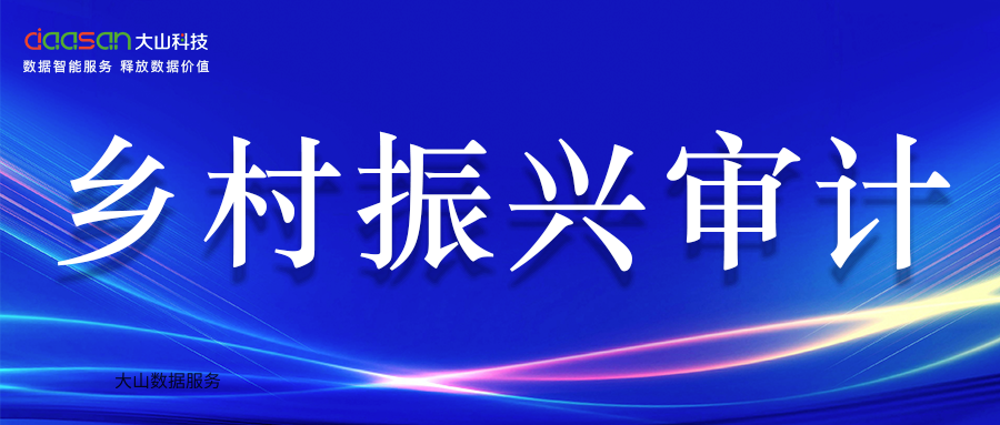 【云审智慧审计数据服务案例】云南省某审计局乡村振兴全过程跟踪审计数据服务项目