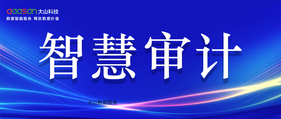 【云审智慧审计数据服务案例】甘肃省某审计机关投资项目大数据审计数据服务交付