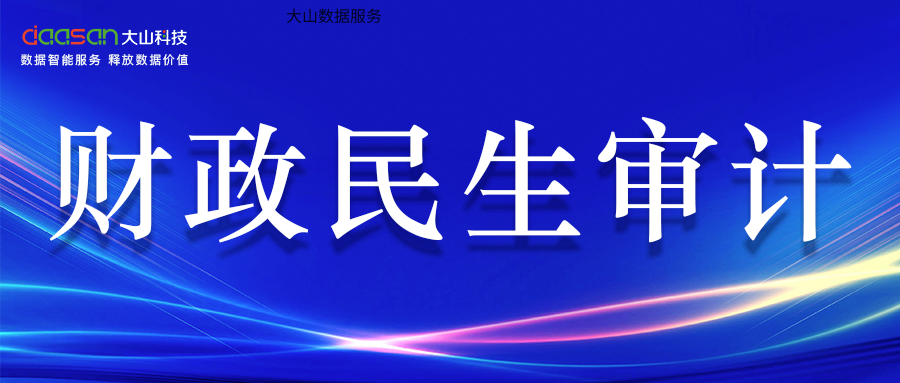 【云审智慧审计数据服务案例】自治区某审计机关财政民生类大数据审计项目交付