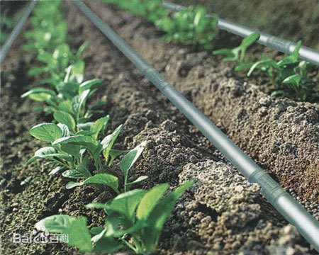 水肥一体化详解