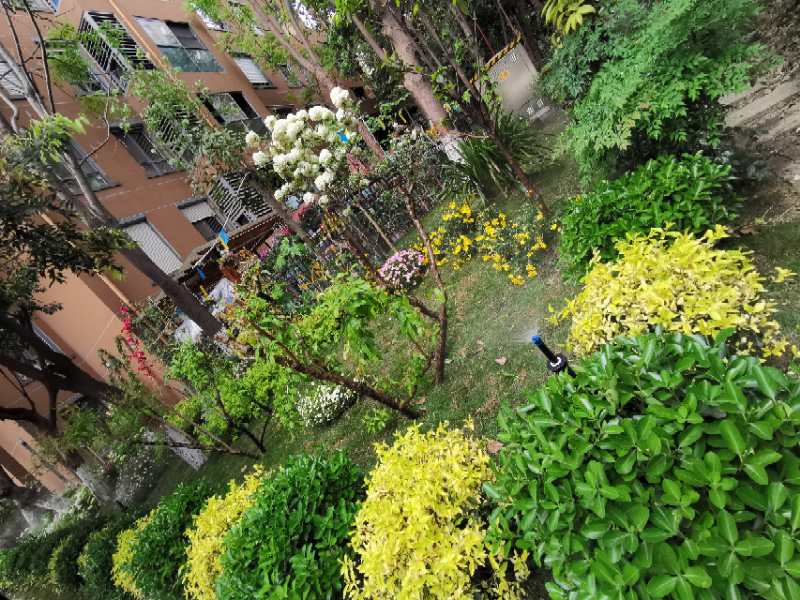 交大硅谷庭院智能灌溉