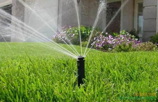 园林绿化使用喷灌的优点有哪些?