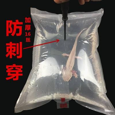 空运氧化袋包装展现 2