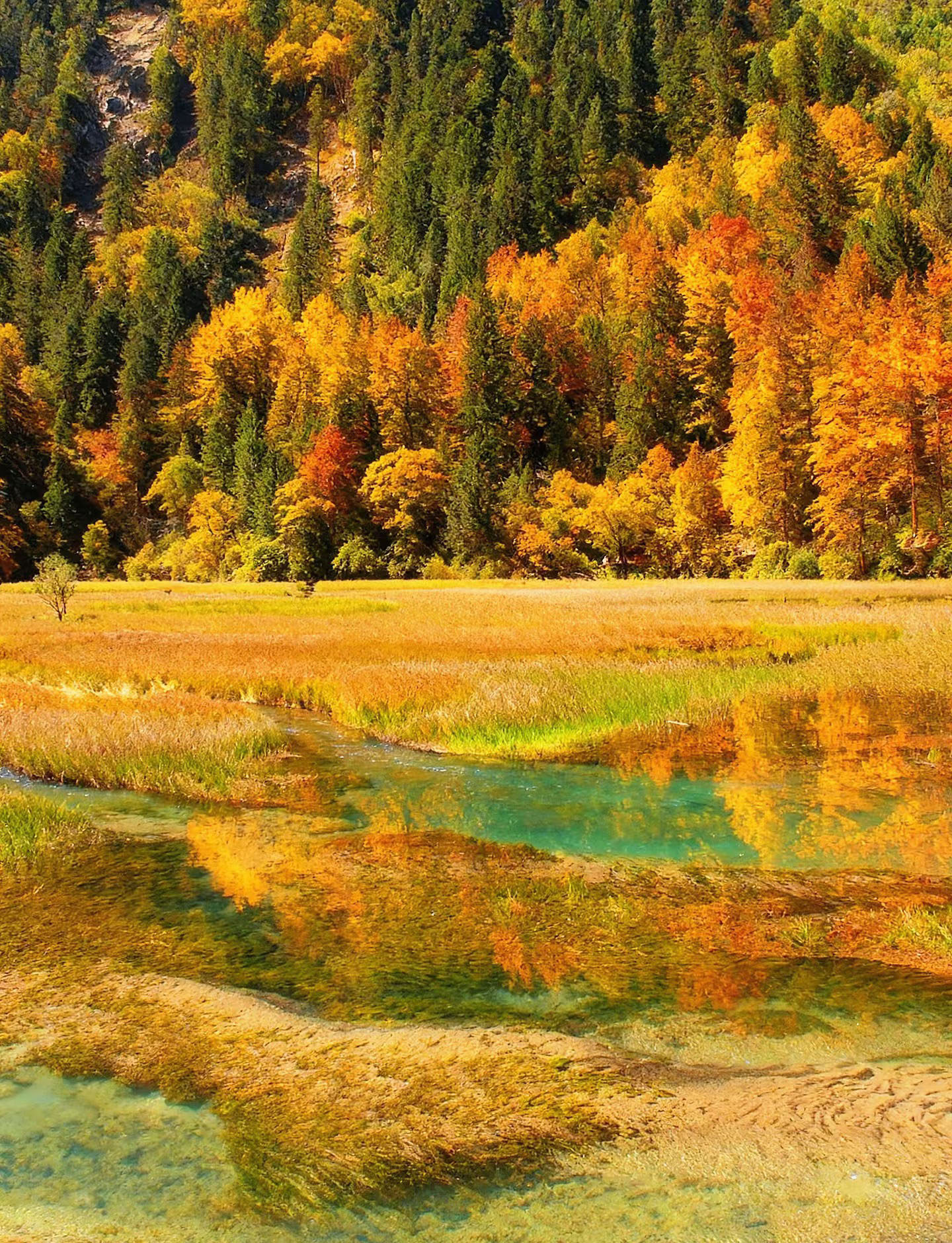 川西九寨沟黄龙四姑娘山4日3晚2-8人精品小团