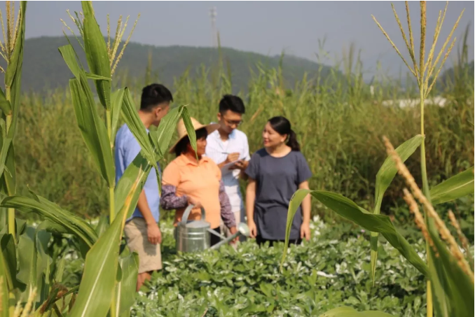 视频丨乘减税降费东风,90后圆了“鱼菜共生”梦 视频丨乘减税降费东风,90后圆了“鱼菜共生”梦