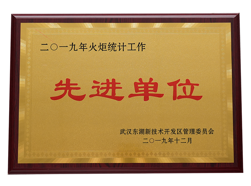 火炬统计先进单位