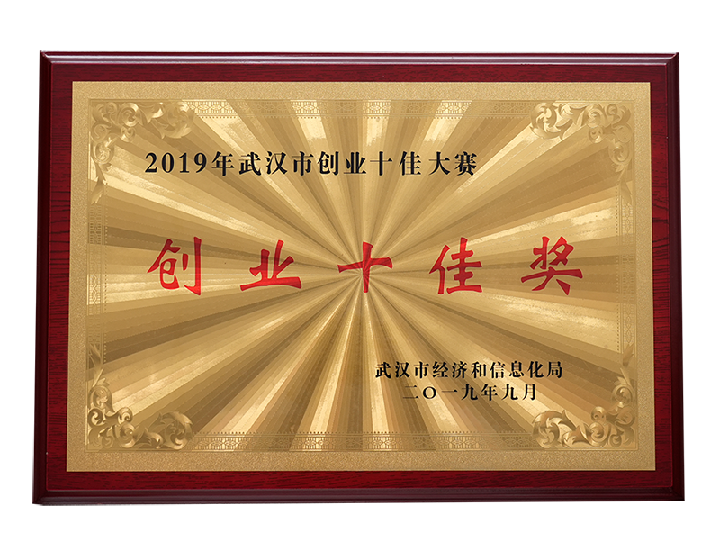 创业十佳