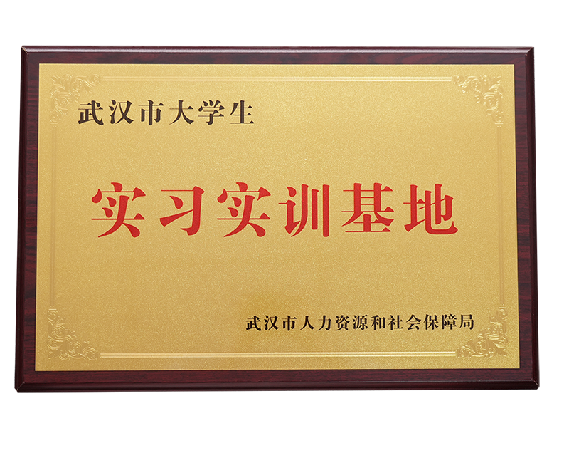 大学生实习实训基地