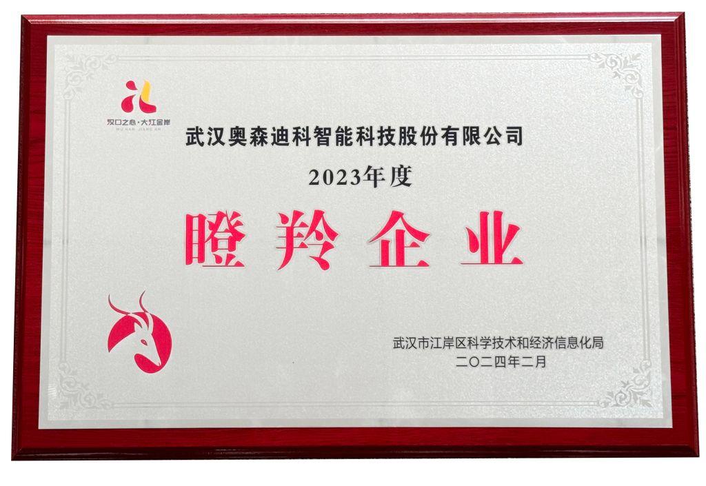 江岸区瞪羚企业