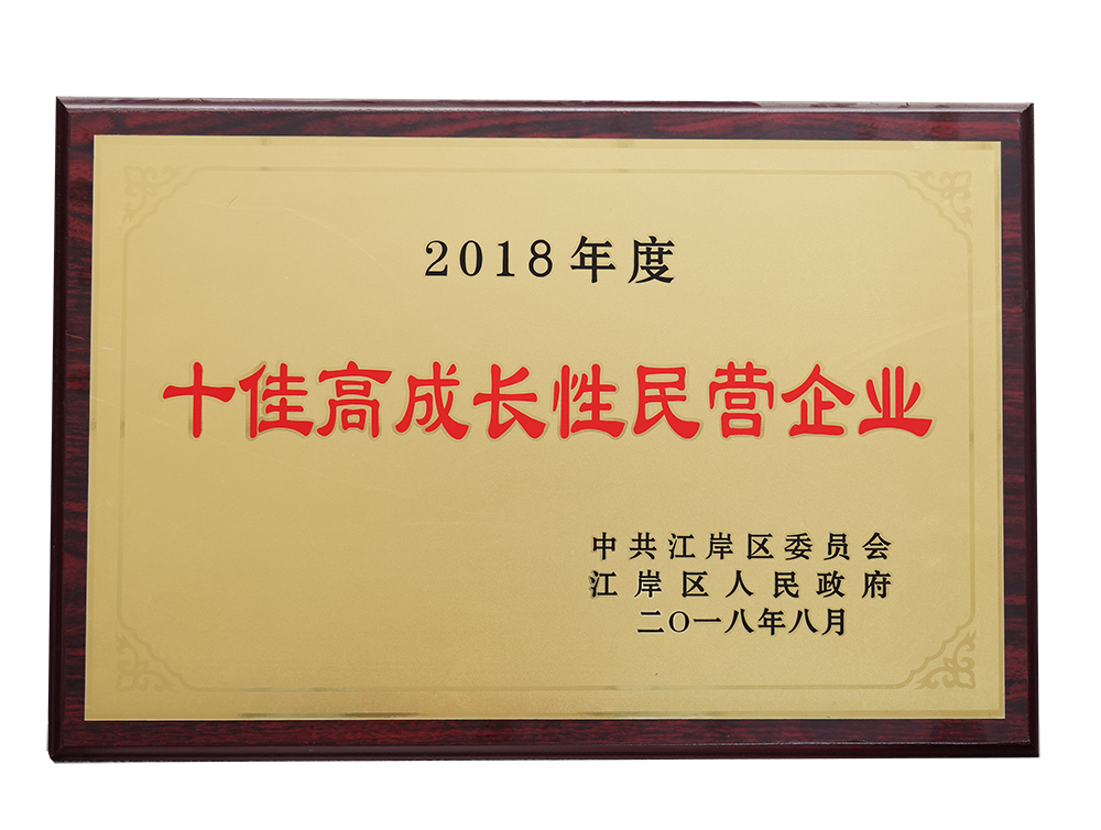 十佳高成长性民营企业