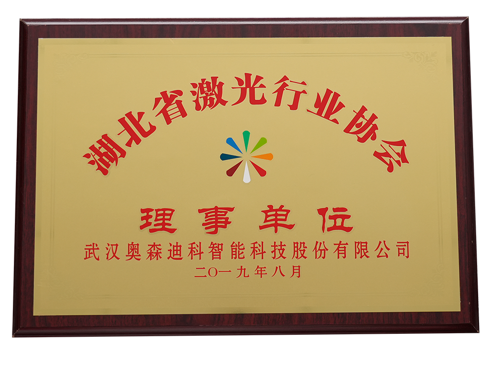 湖北省激光行业协会理事单位