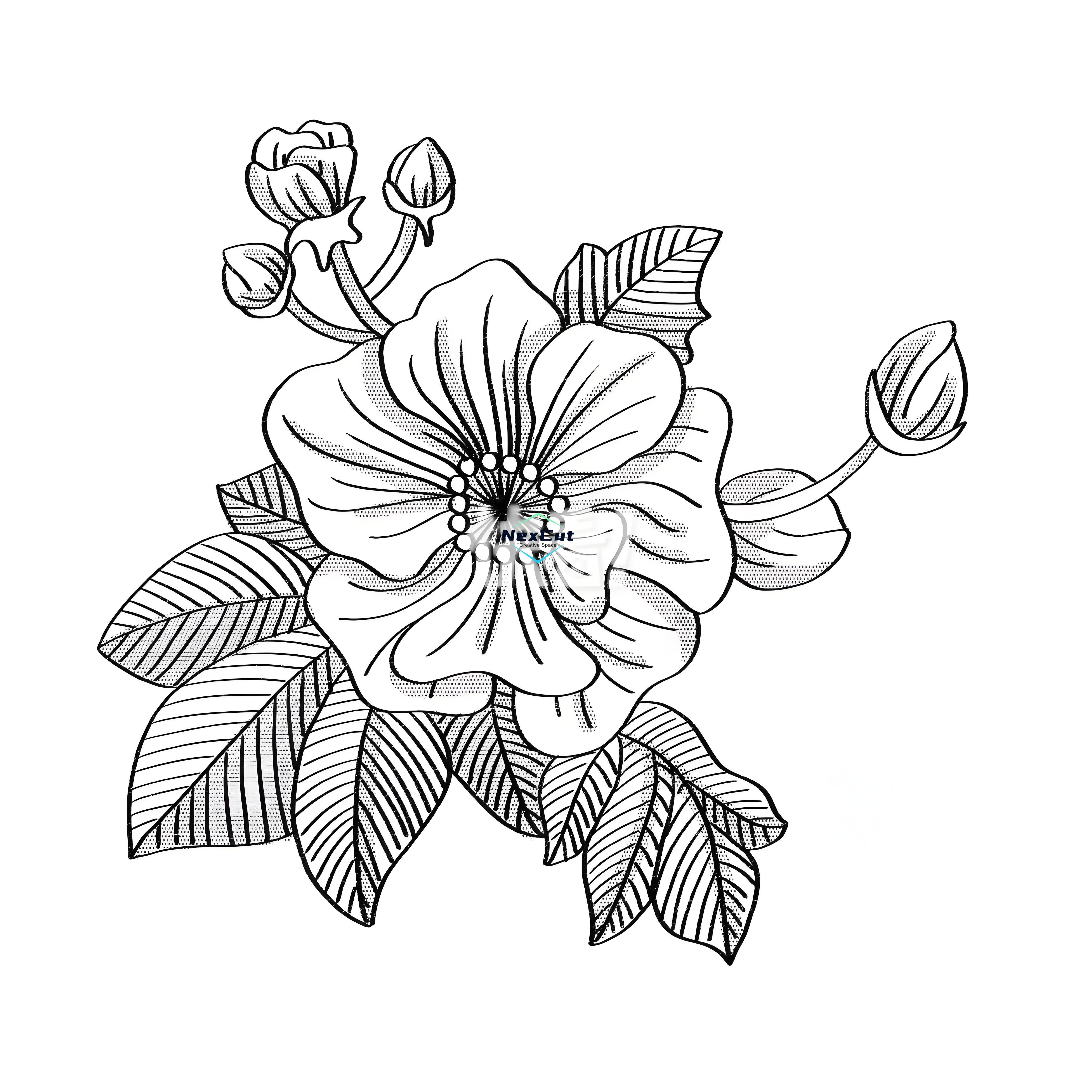 雕刻图-花卉1