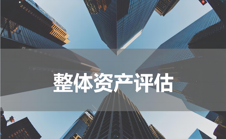 整体资产评估