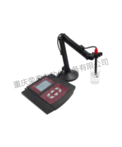 RDZDH-SC系列多参数水质分析仪