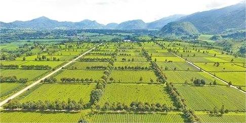 武汉市江夏区五里界“四化同步”示范镇基本农田土地整治项目