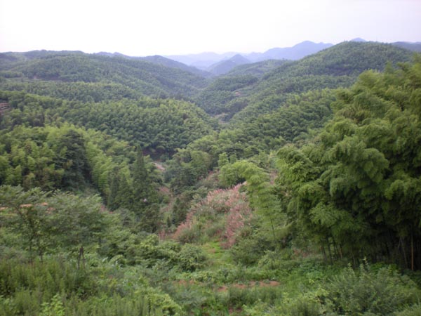 墳墓設計-10