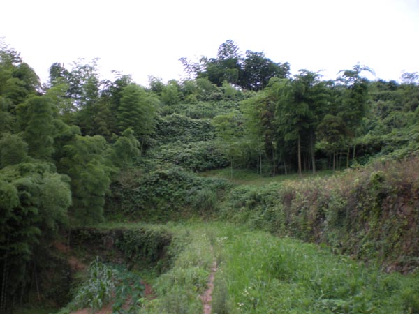 墳墓設計-8