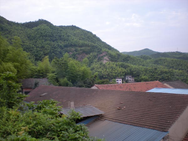 墳墓設計-1