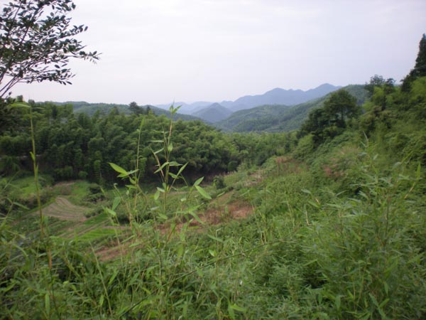 墳墓設計-6