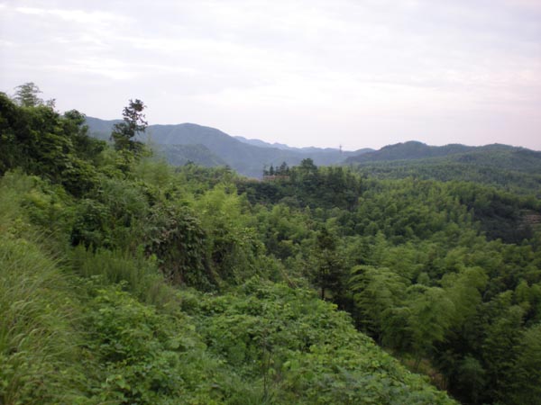 墳墓設計-9