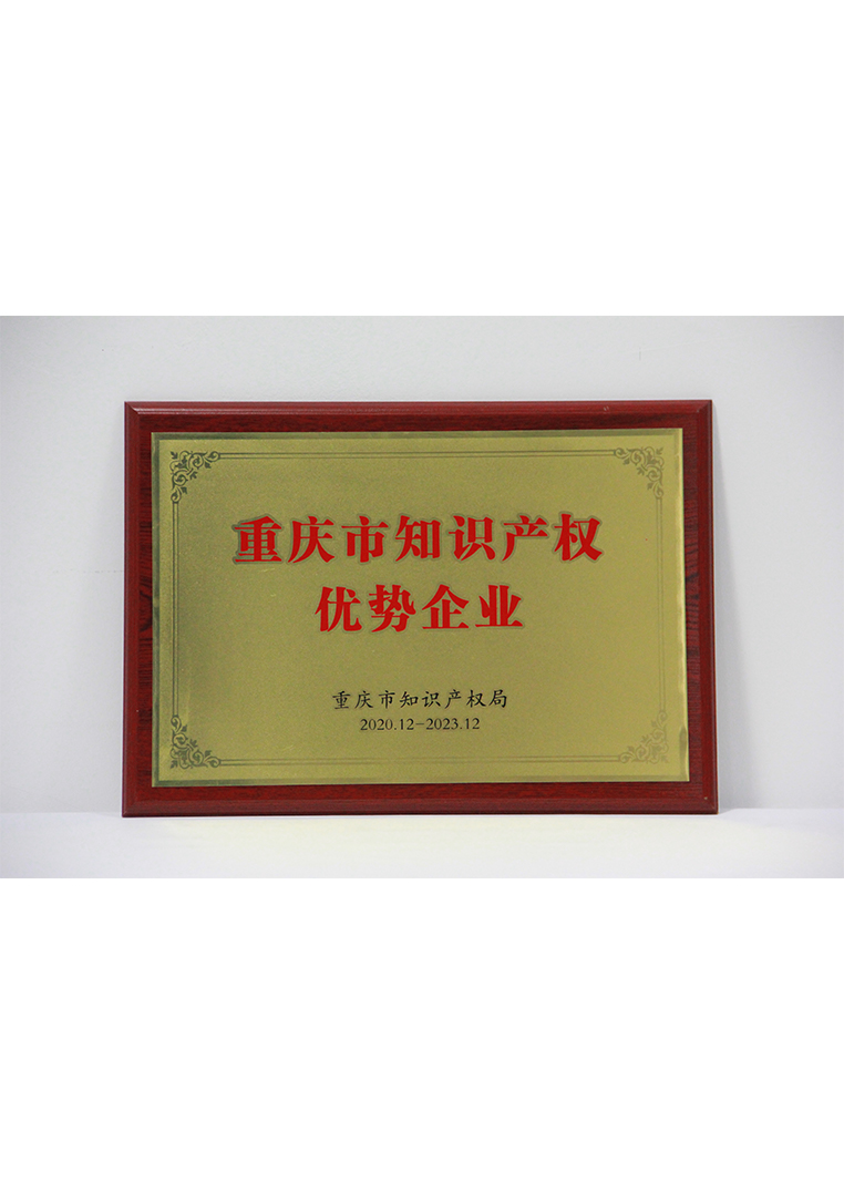 
	重庆市知识产权优势企业 
