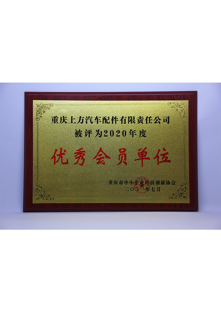 
	重庆市中小企业科技创新协会
优秀会员单位 
