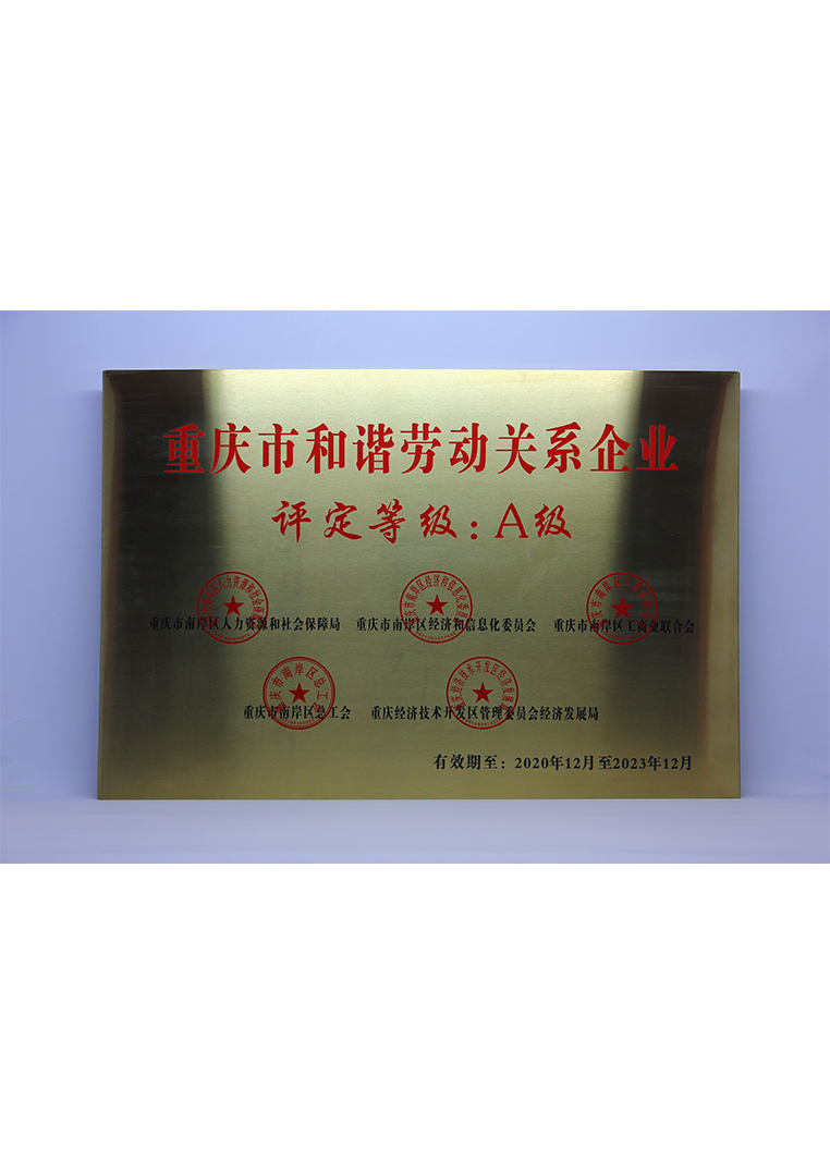 
	重庆市和谐劳动关系企业 
