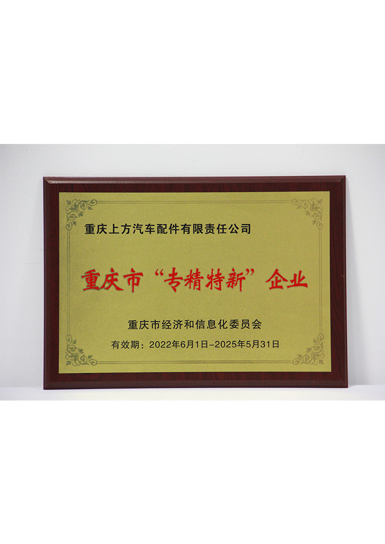 
	重庆市“专精特新”企业
