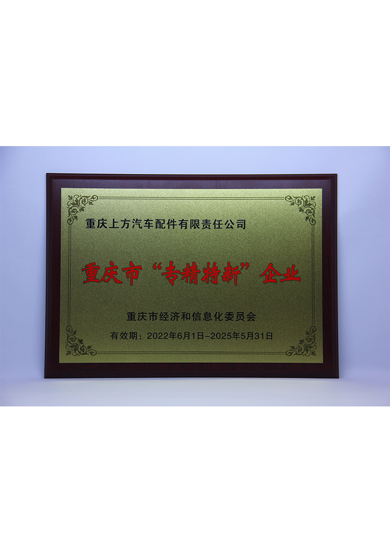 
	重庆市“专精特新”企业 
