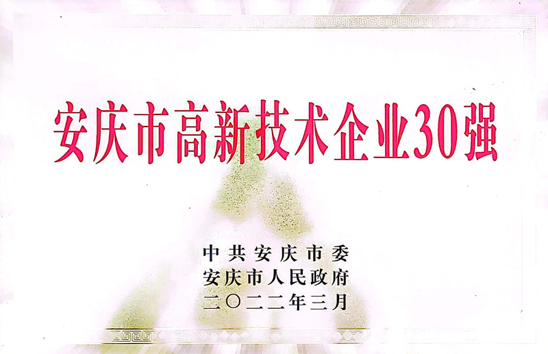 安庆市高新技术企业30强