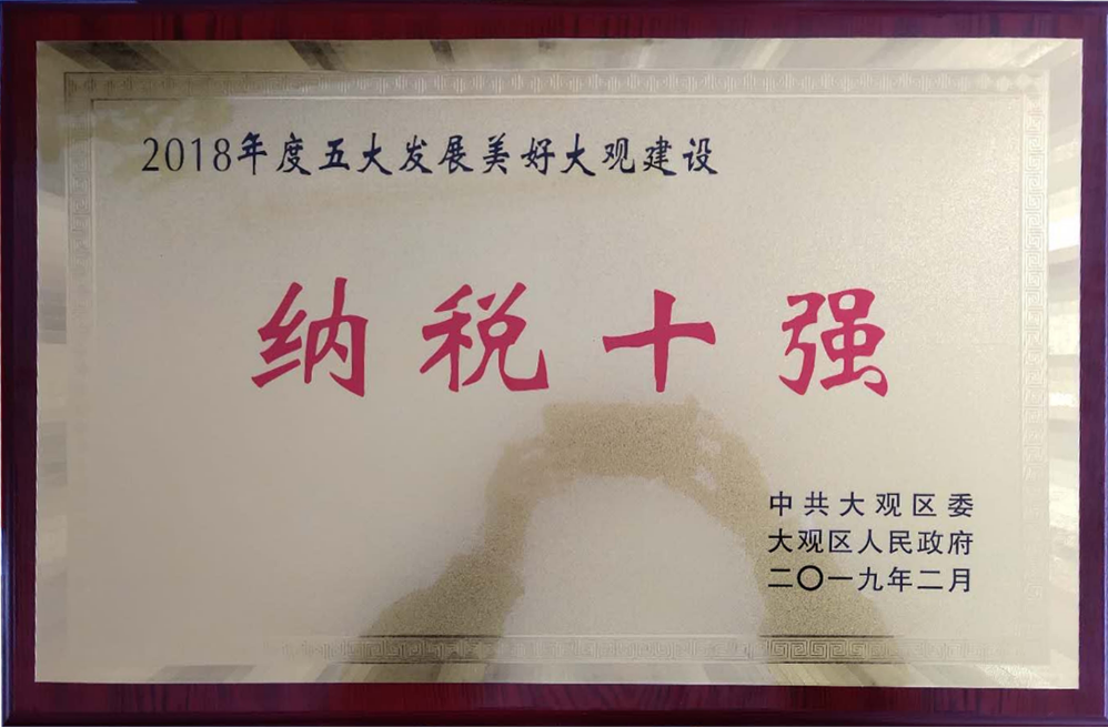 2018年安庆市大观区纳税10强