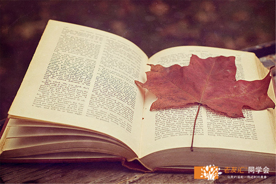 多年不见，甚是想念