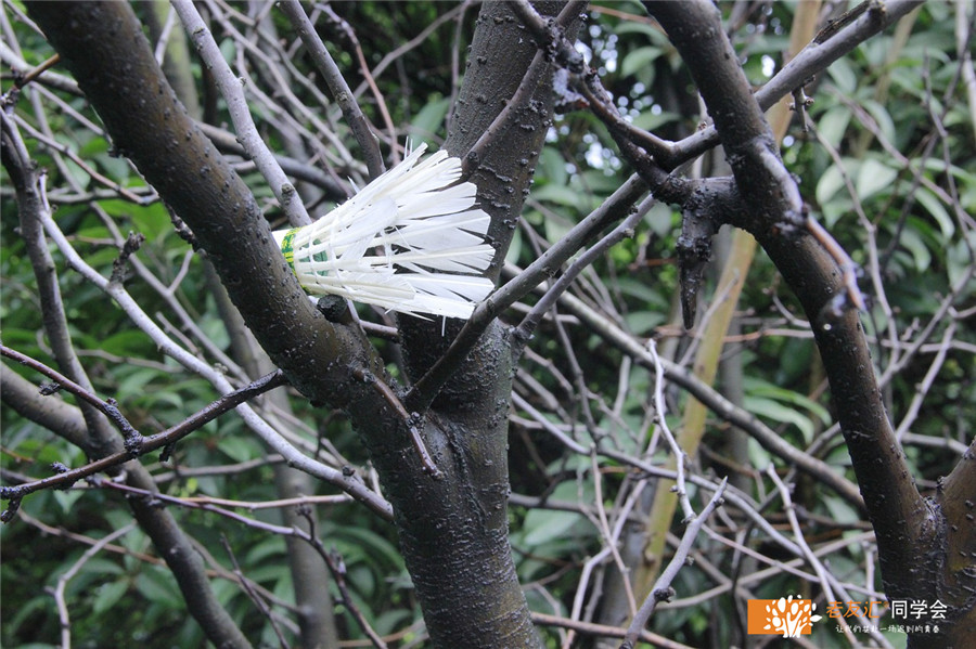 你的一眸一笑，不经意间刻进心里