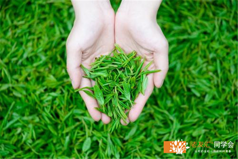 杭州同学会策划公司