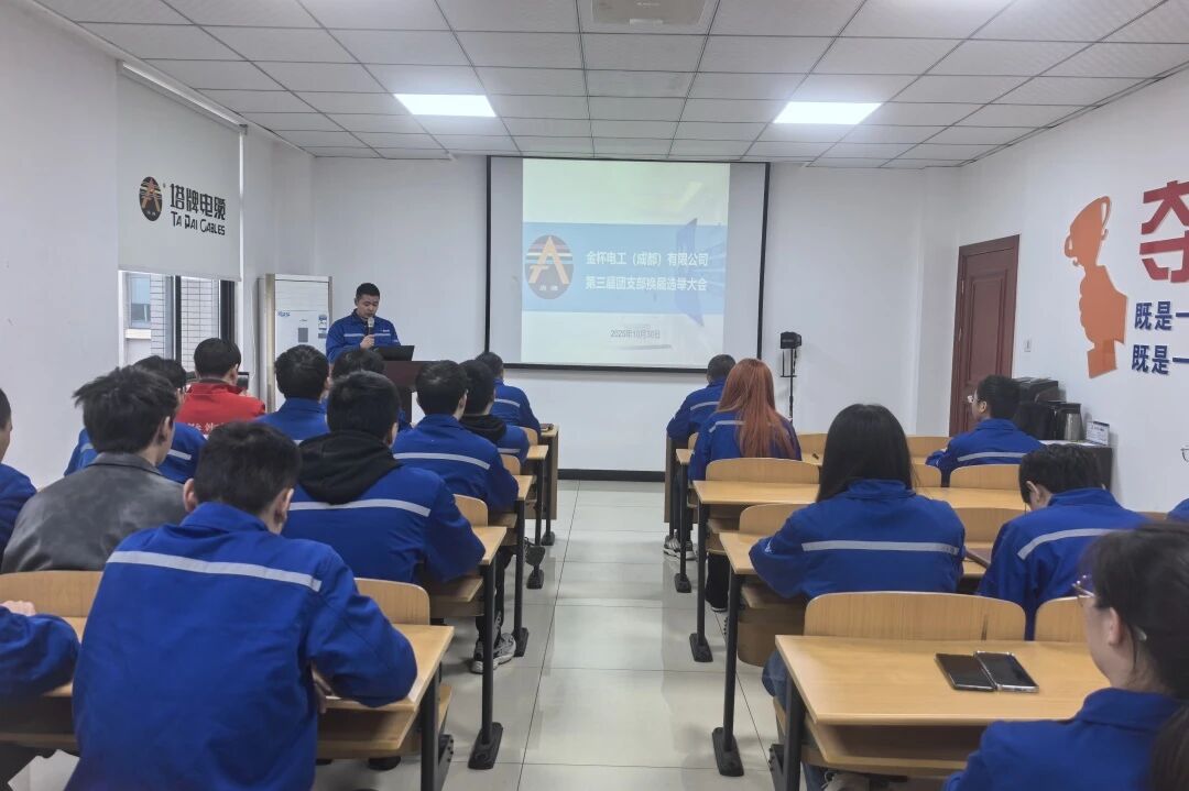 凝聚青春力量 谱写时代新篇丨塔牌电缆第三届团支部换届大会顺利召开