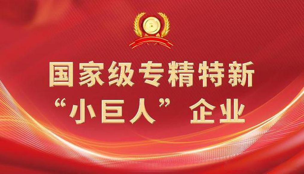 喜訊！益陽康益機械發(fā)展有限公司獲評國家級專精特新“小巨人”企業(yè)