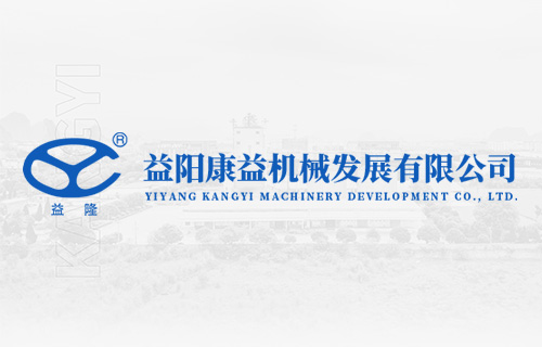 康益公司关于干部队伍建设的战略
