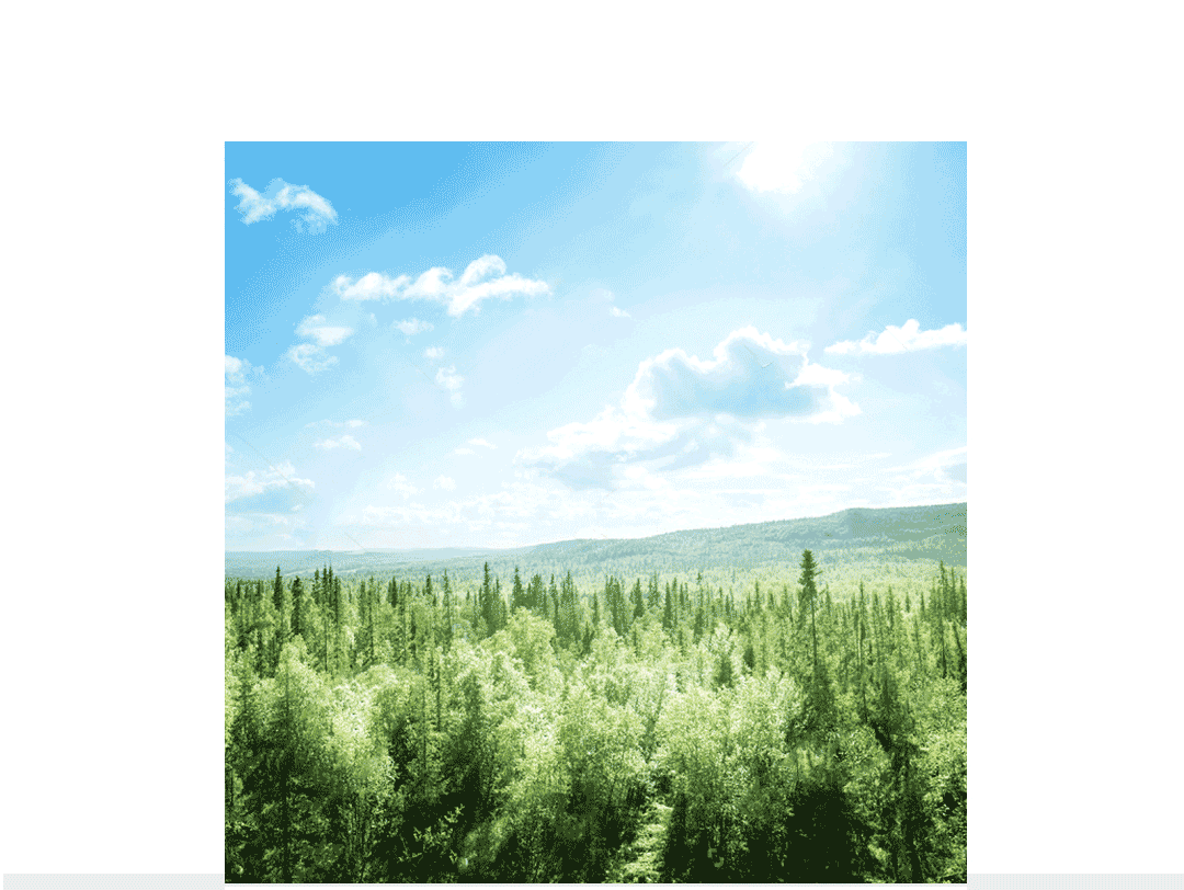 四季家具|2019夏季新品发布